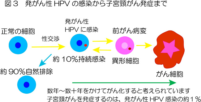 Figure3